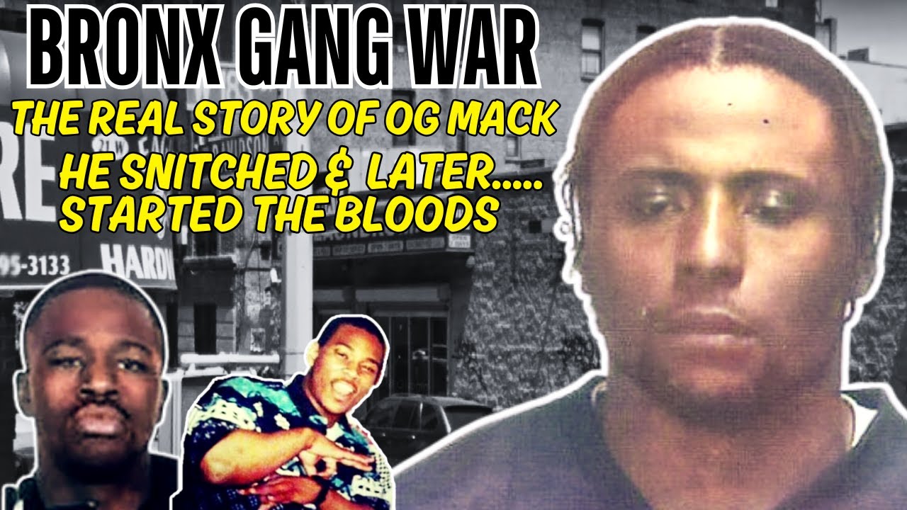 Реальная история первого члена нью-йоркской банды Bloods, «OG Mack» — он донес, а затем основал B...