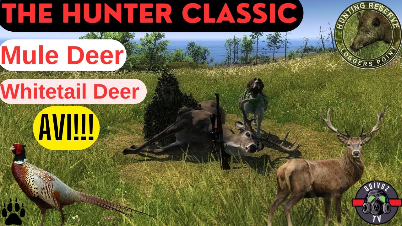 The Hunter Classıc - Loggers Poınt - MÜLE DEER , WHİTETAİL DEER - geyik avı.