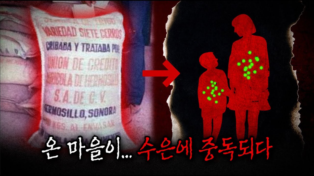 정부가 나눠준 곡식을 먹자 마을 전체가 쓰러졌다. 459명이 사망한 이라크 수은 곡물 대참사