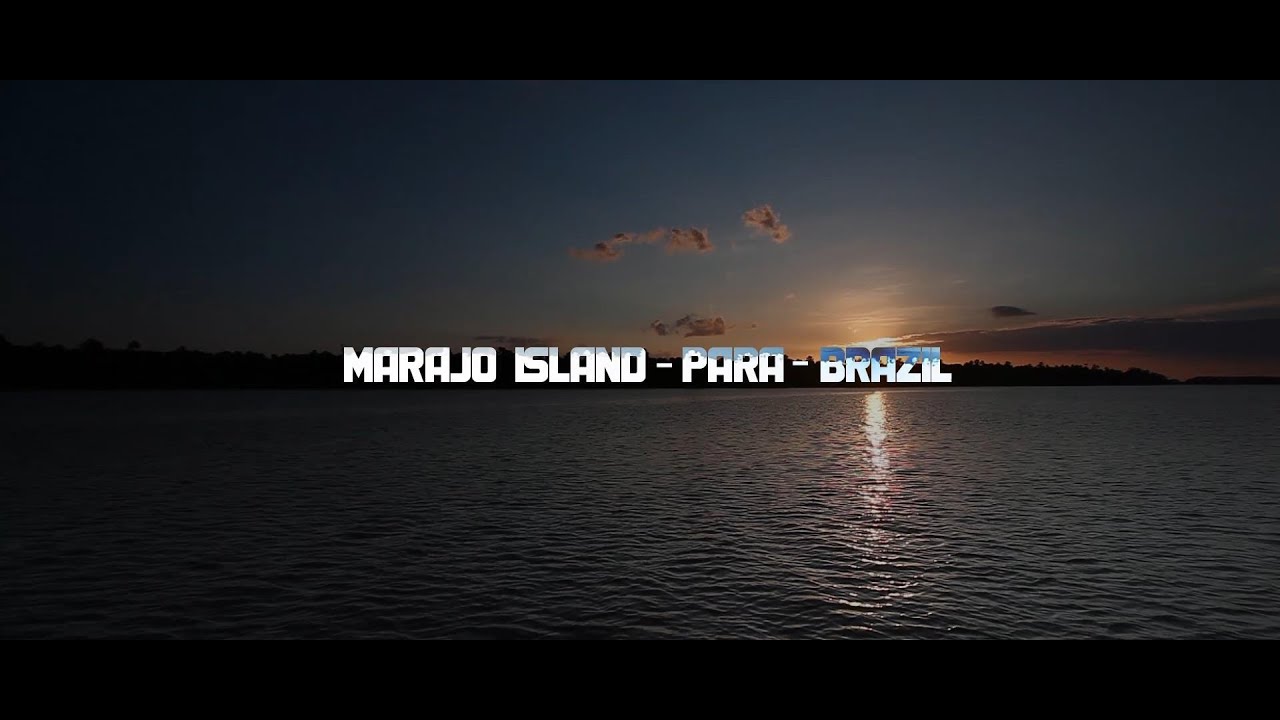 Marajo Island (Ilha de Marajó): a place to visit in Brazil