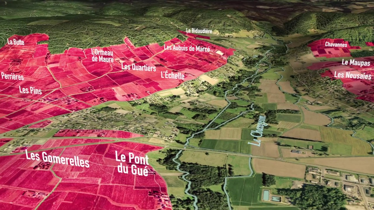 Vignoble de Bourgueil en 3D