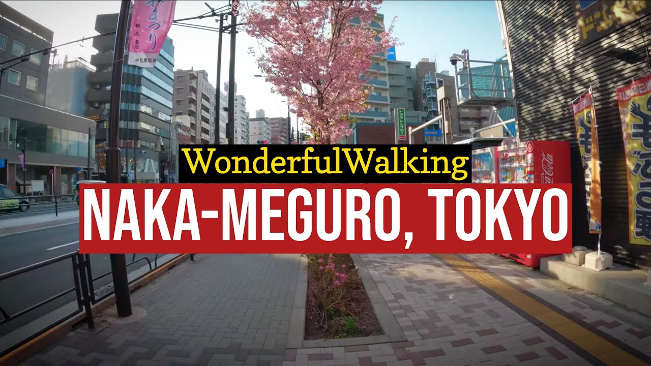 A lovely walk in Naka-Meguro, Tokyo