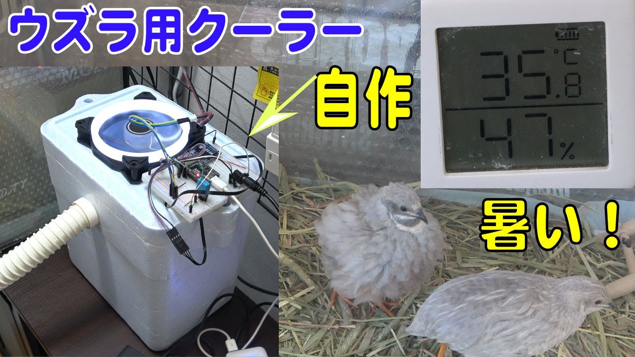 スポットクーラーを自作 ペット 小動物用 IoT スマート飼育 遠隔監視 ESP32 Arduino node-red