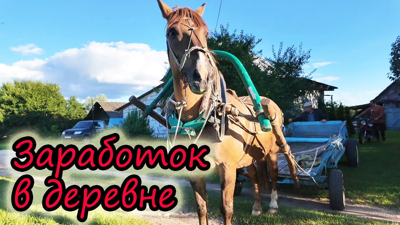 Заработали в деревне //  Заготовили солому // Сделали ремонт // Любопытные коровы // Жизнь в деревне