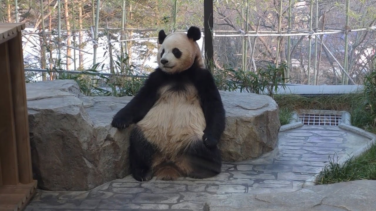 세컨하우스 루이 후이 보고왔어요 