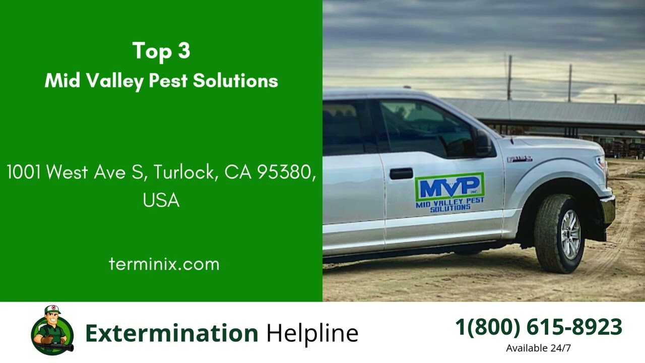Top 3 Exterminators in Turlock
