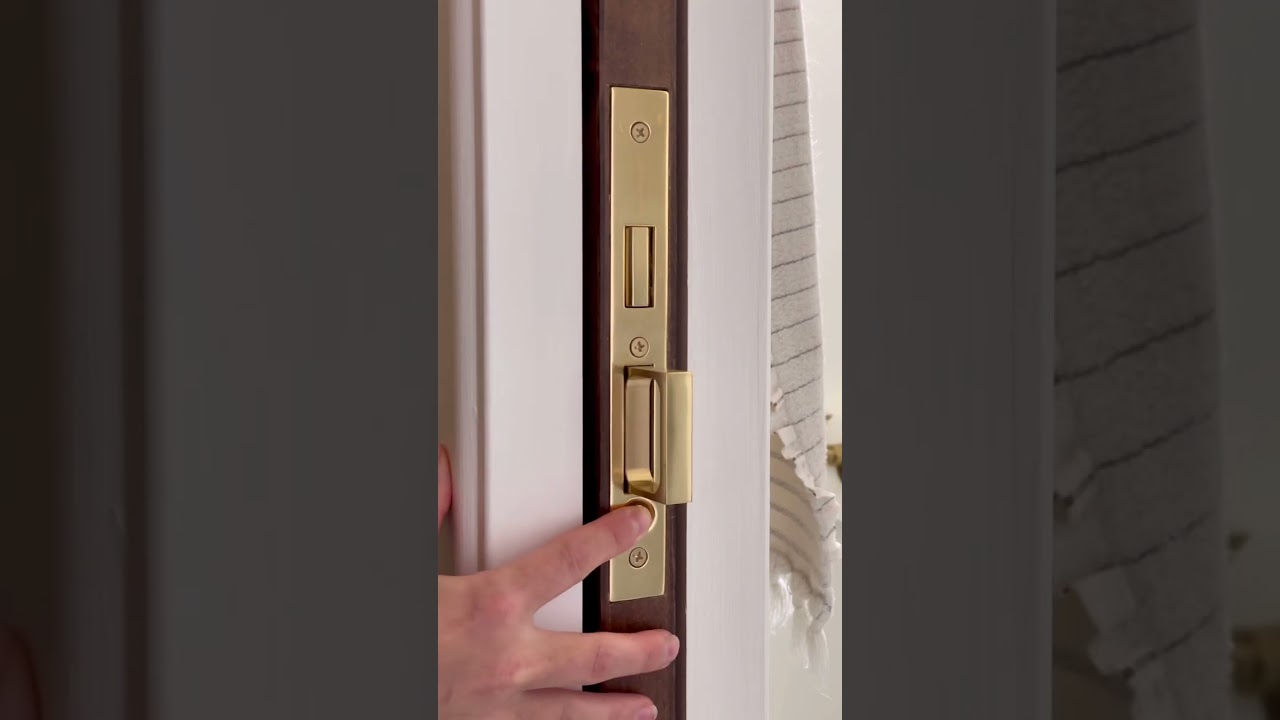 Dodson230 Pocket Door Hardware Functionality! #pocketdoor #interiordesign #interiordesigner