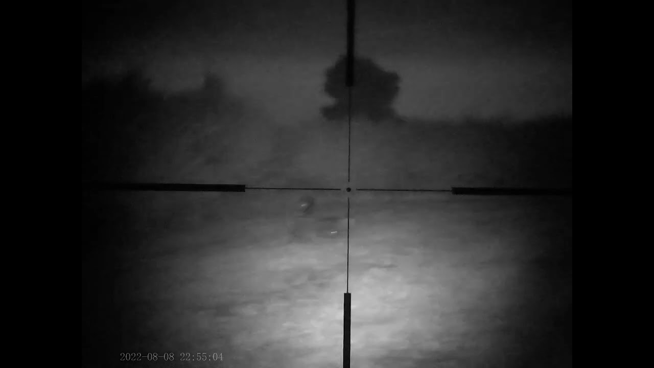 Sytong Ht-66. choosing between eight boars. 1 part