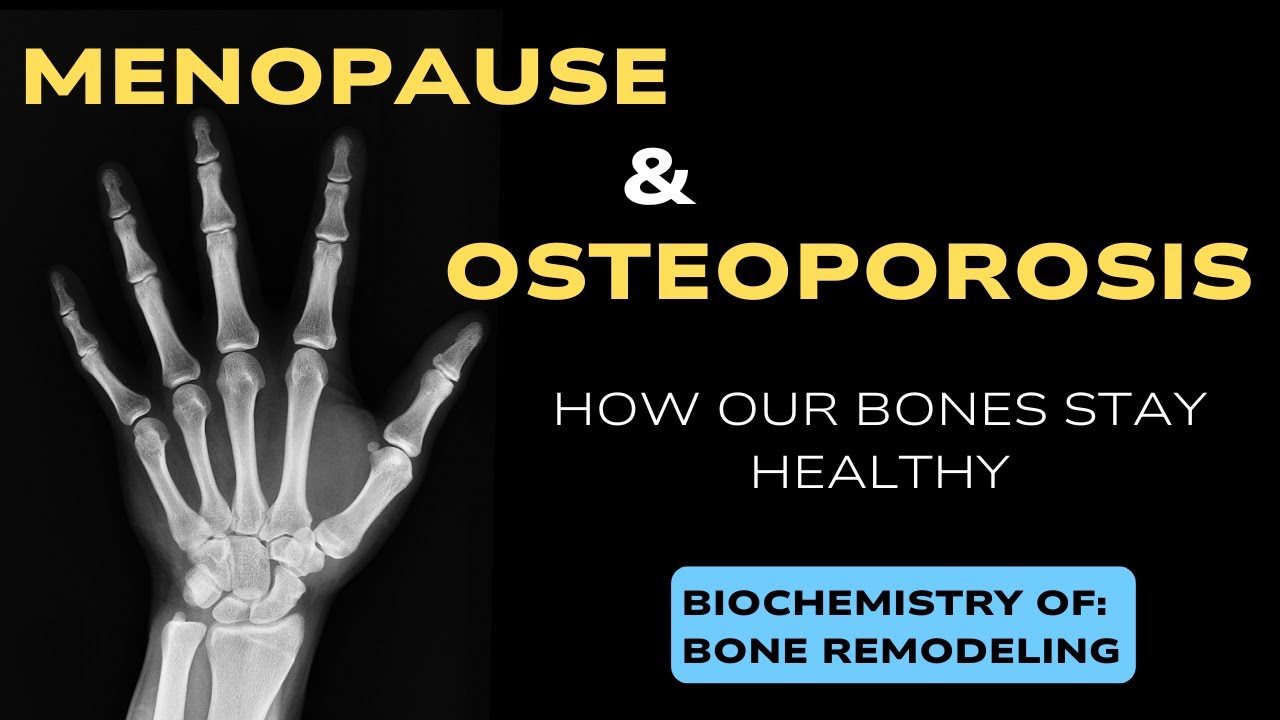 Menopause & Osteoporosis: How Your Bones Stay Healthy | Biochemistry of Bone Remodeling Explained