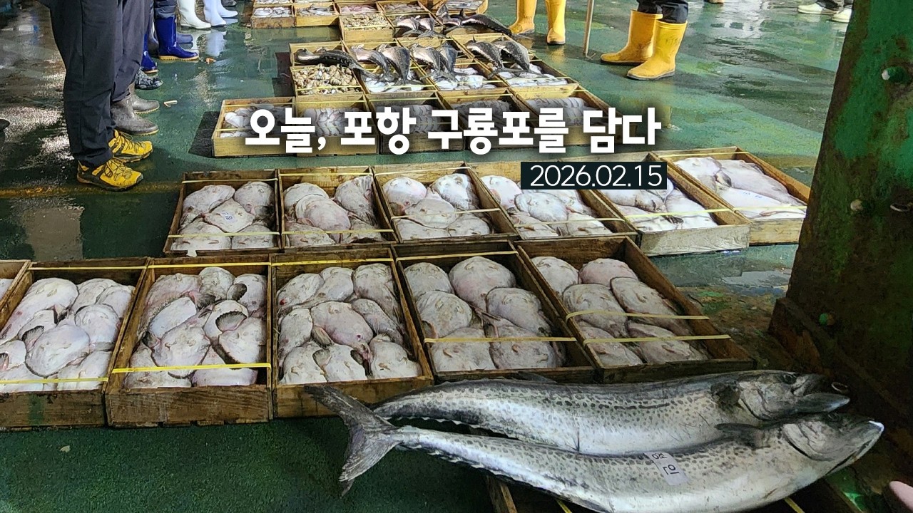 오늘, 포항 구룡포를 담다 2026.02.15