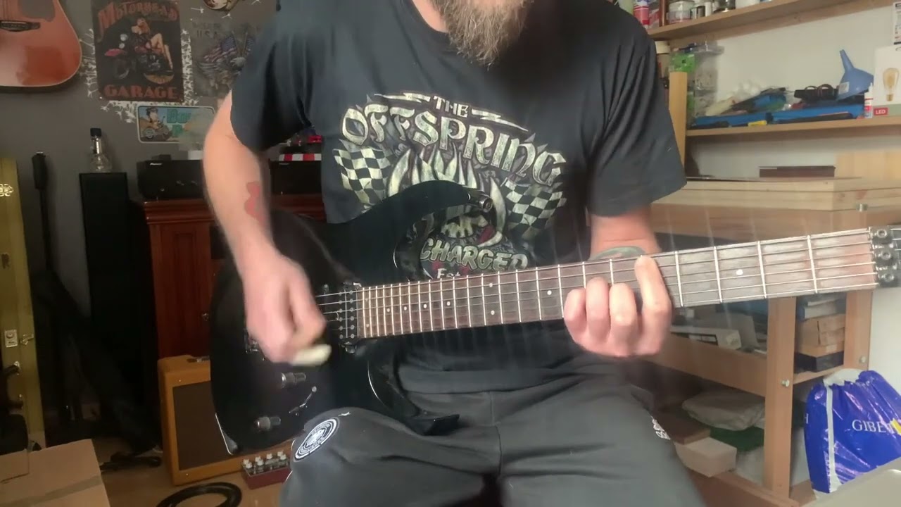The Offspring - The fall guy