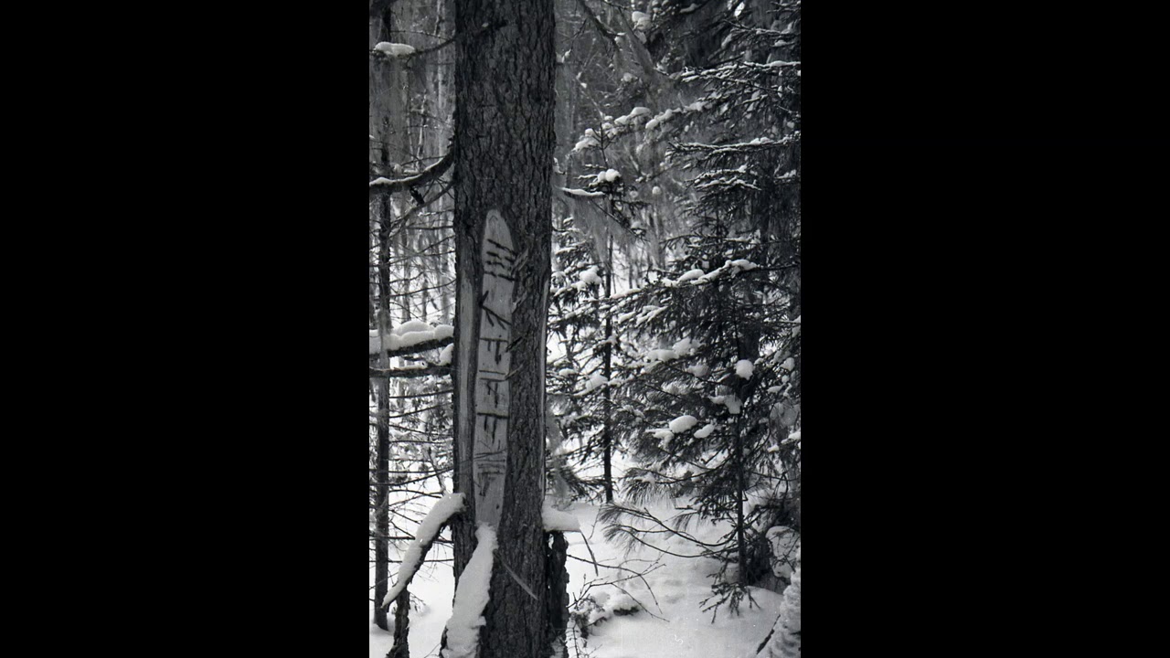 65. Dyatlov Pass Part 5