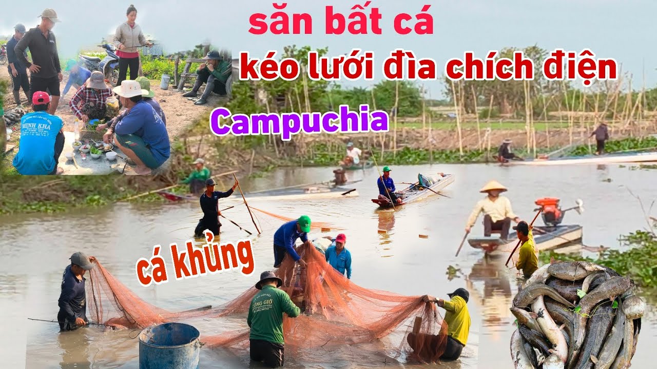 Bất ngờ gặp dân Campuchia săn bắt cá kéo lưới hầm đáy sâu chích điện vô tấn cá lốc trê cá khủng