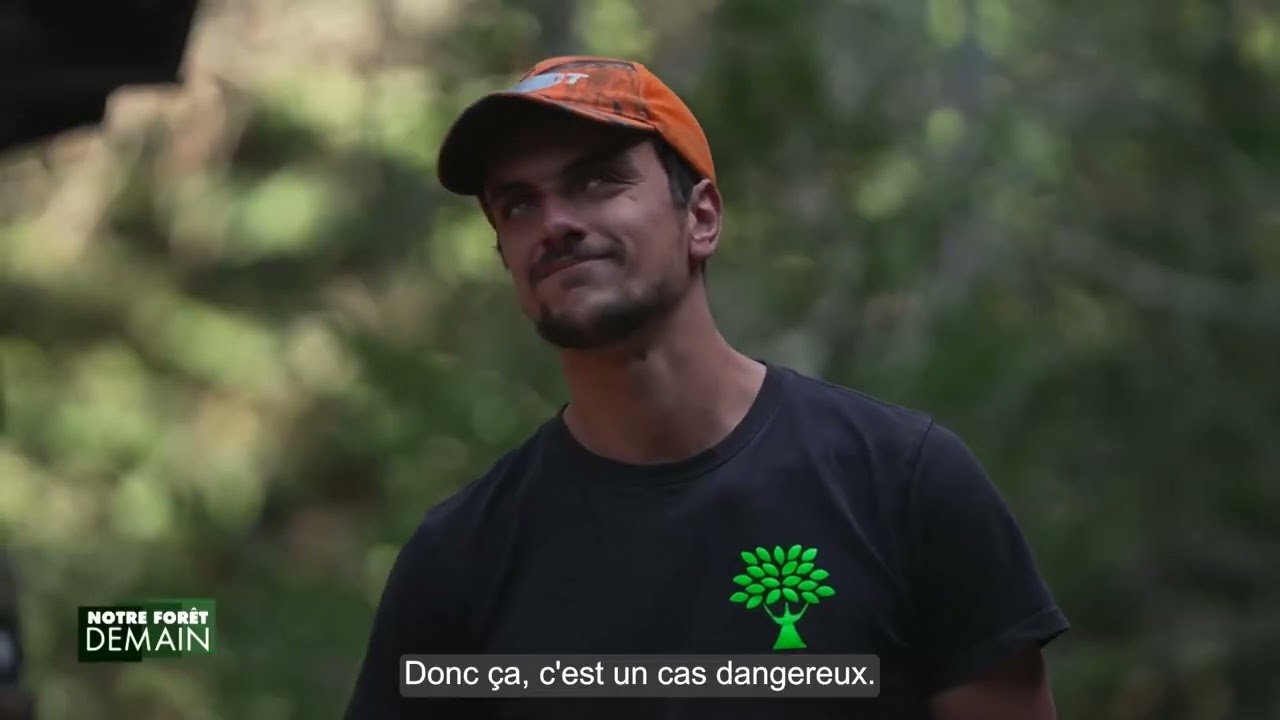 🌳NFD Extrait La sylviculture en pente raide (Emission 3)