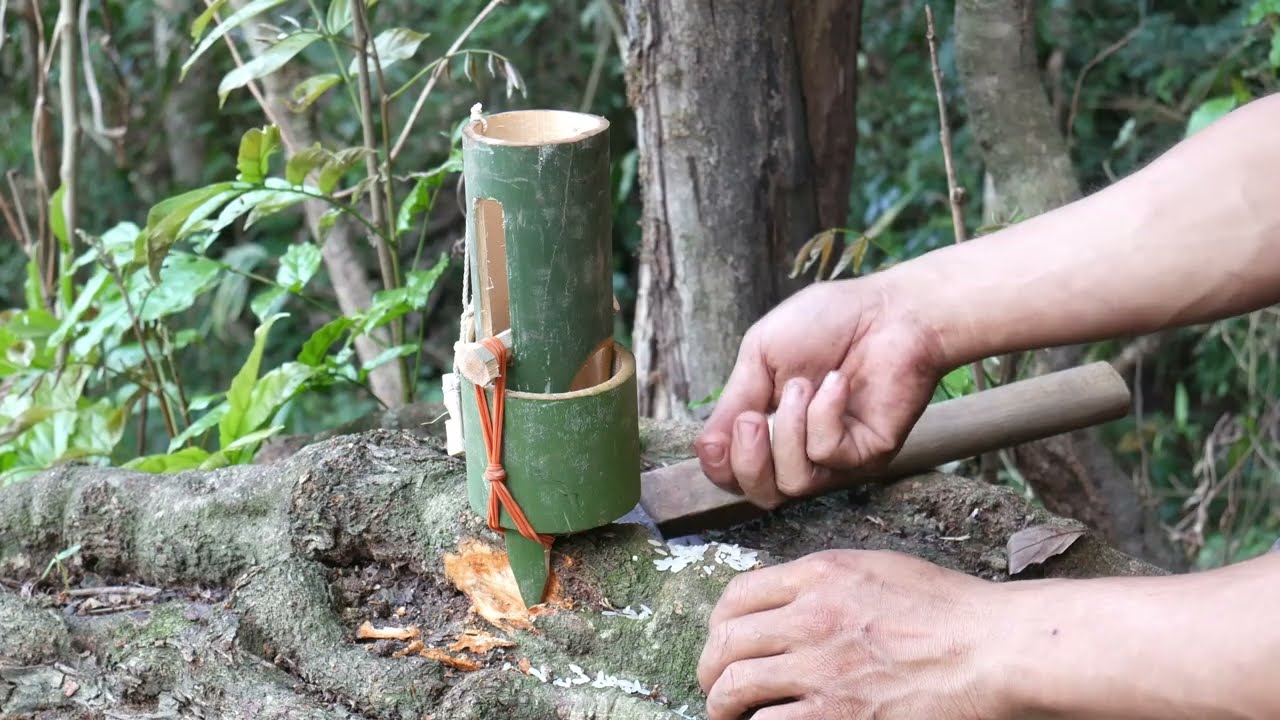 special method using bamboo to be looking for food in the jungle for survival episode 99