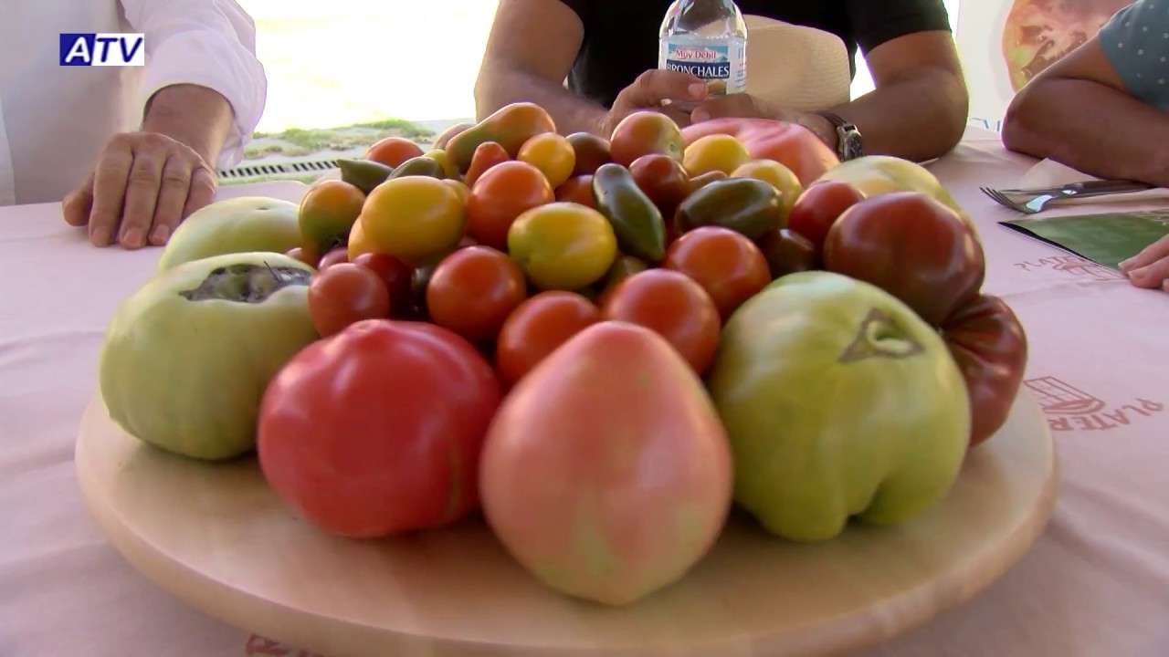 La Recacha | Tomate Huevo de Toro