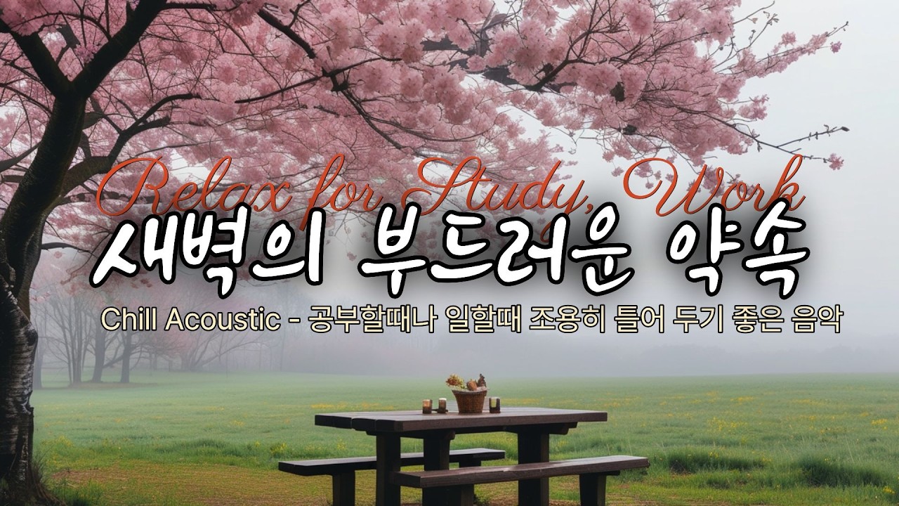 Chill Acoustic Ballad - 조용히 혼자 있고 싶을 때 듣는 감성음악, 공부할 때나 일하면서 듣기 좋은 카페 음악