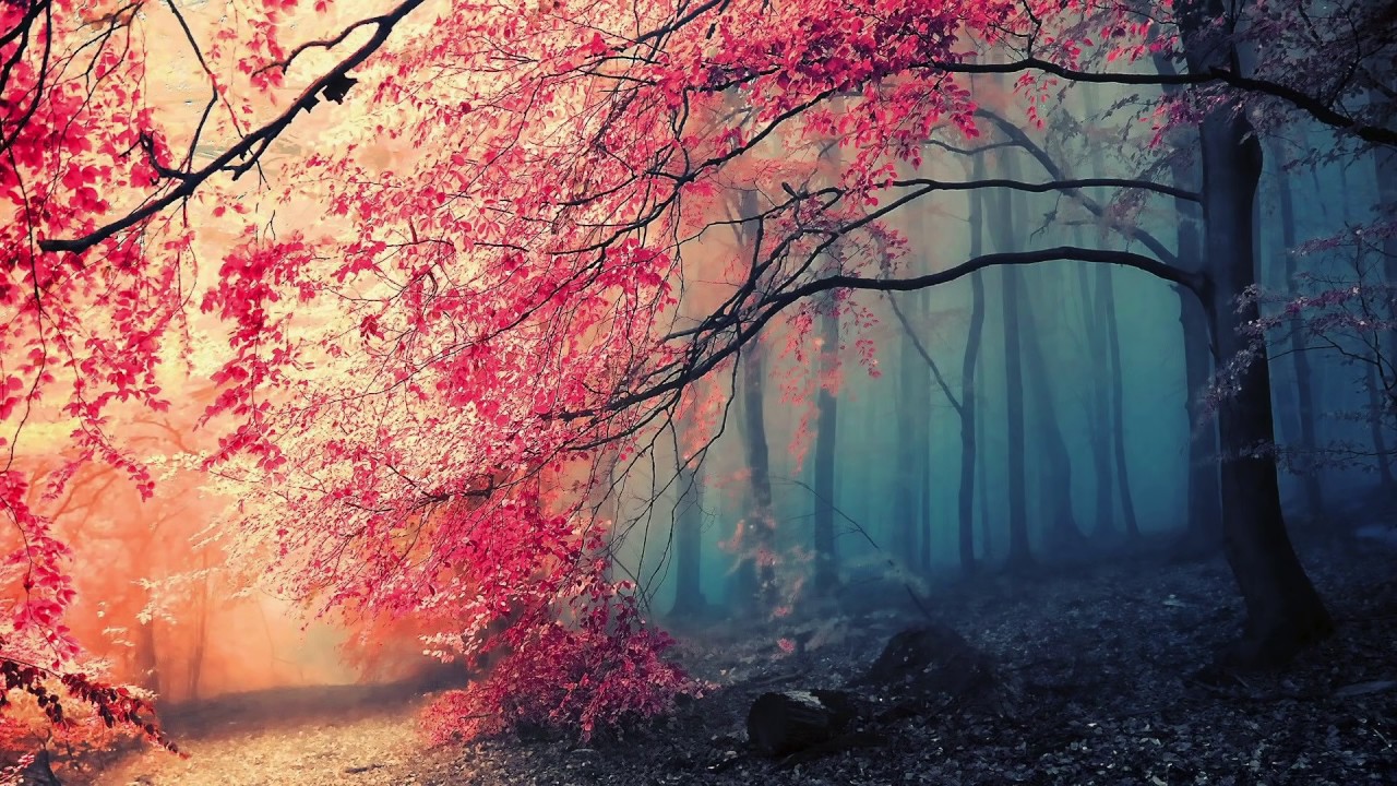 Best of Progressive & Melodic Trance Sessions   A Progressive Journey one
