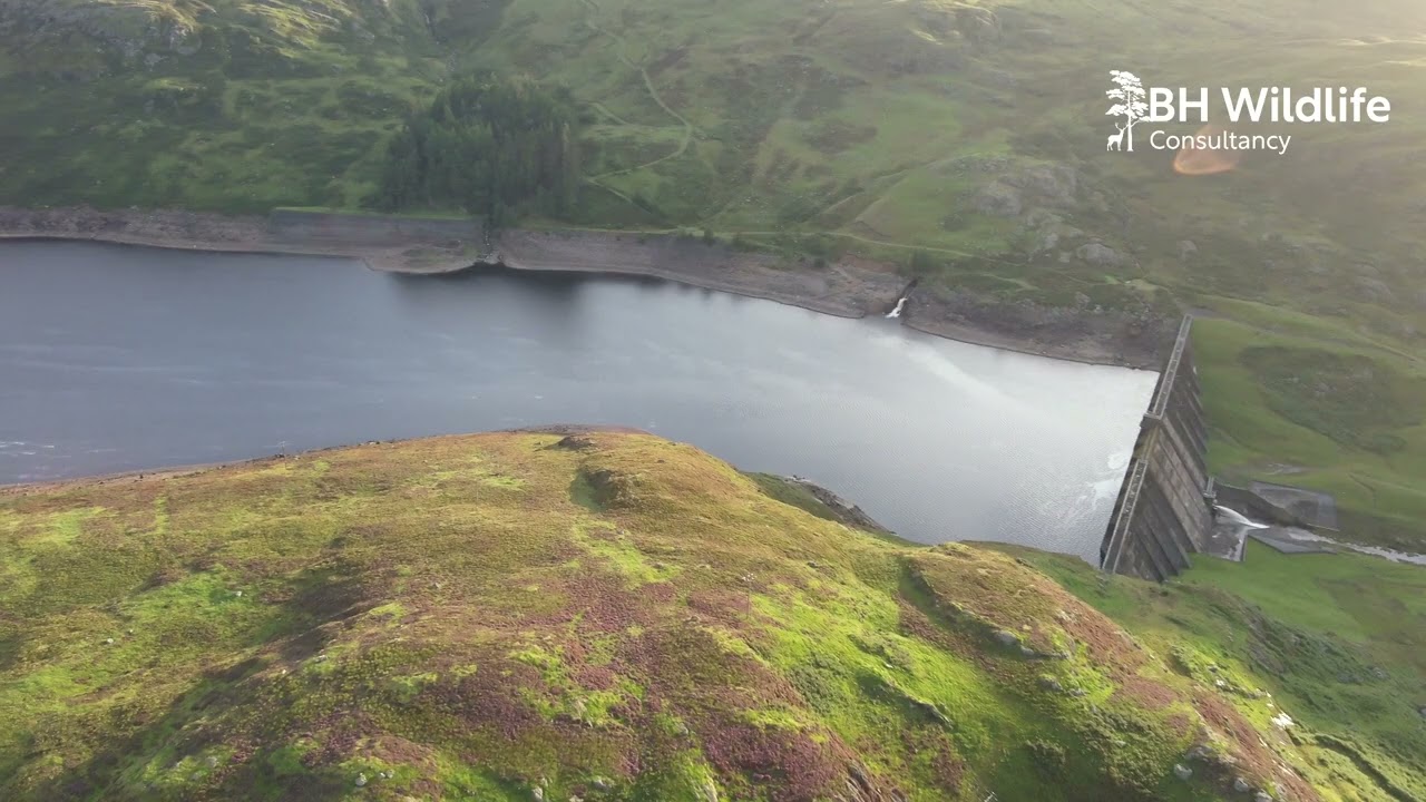 Invergeldie Estate - Red Deer TI Drone Census