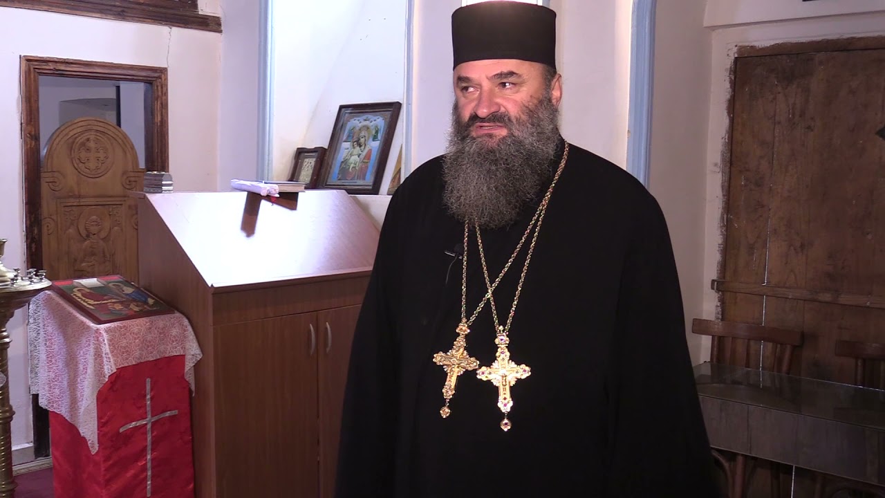 გადაცემა პულსი  -  დილიკაური