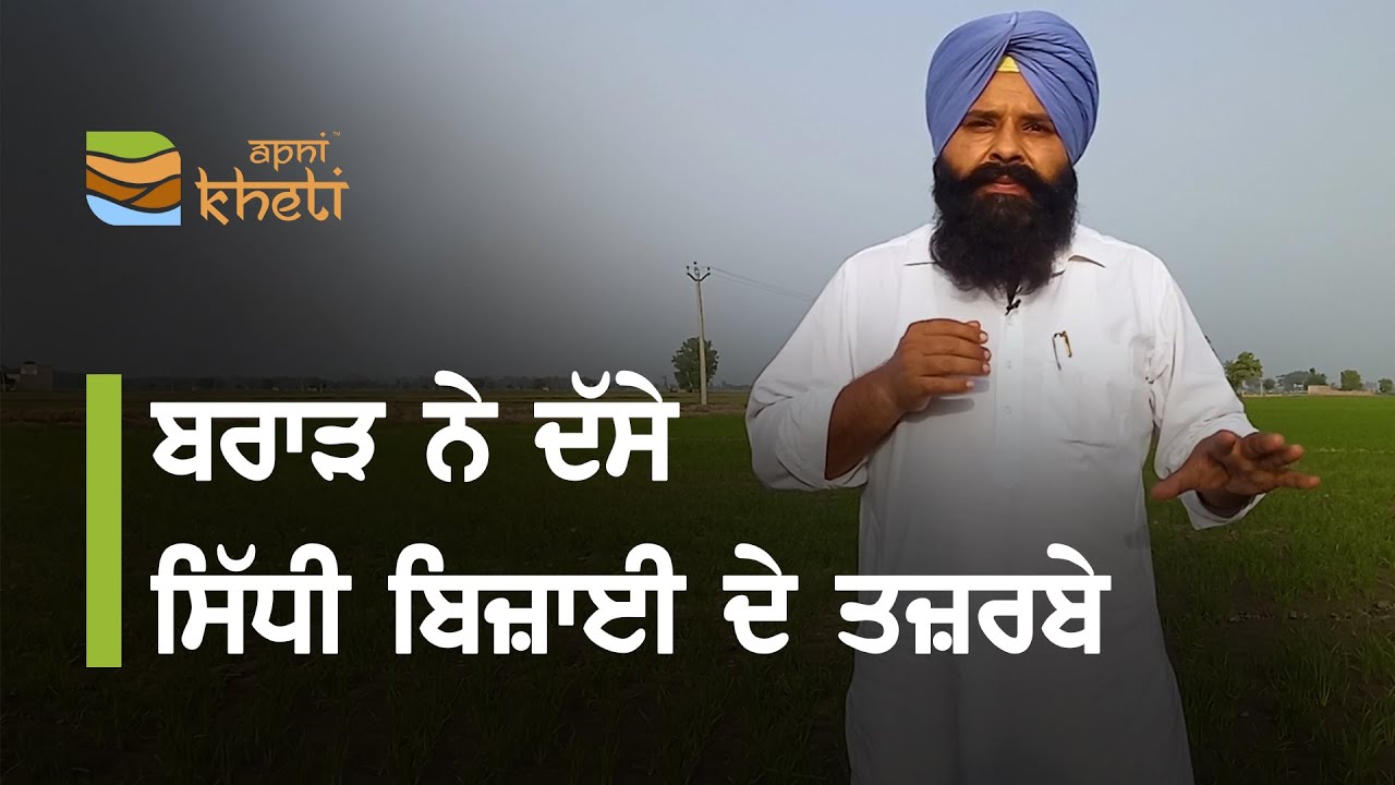 ਝੋਨੇ ਦੀ ਸਿੱਧੀ ਬਿਜਾਈ ਦੇ ਇਹ ਸੁਝਾਅ ਤੁਹਾਡੇ ਕੰਮ ਆਉਣਗੇ I These suggestions for direct sowing will help you