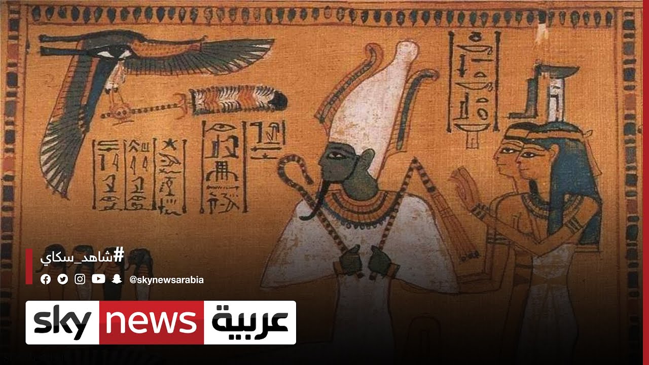 مصر.. اكتشافات أثرية جديدة في منطقة سقارة  |#مراسلو_سكاي