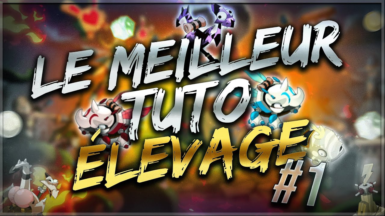 LE MEILLEUR TUTORIEL ÉLEVAGE SUR DOFUS ! #1