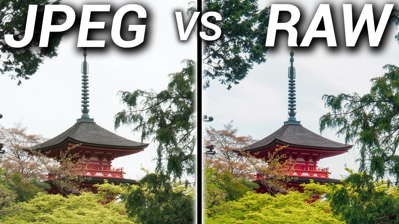 JPEG против RAW &ndash; какой формат изображений лучше?