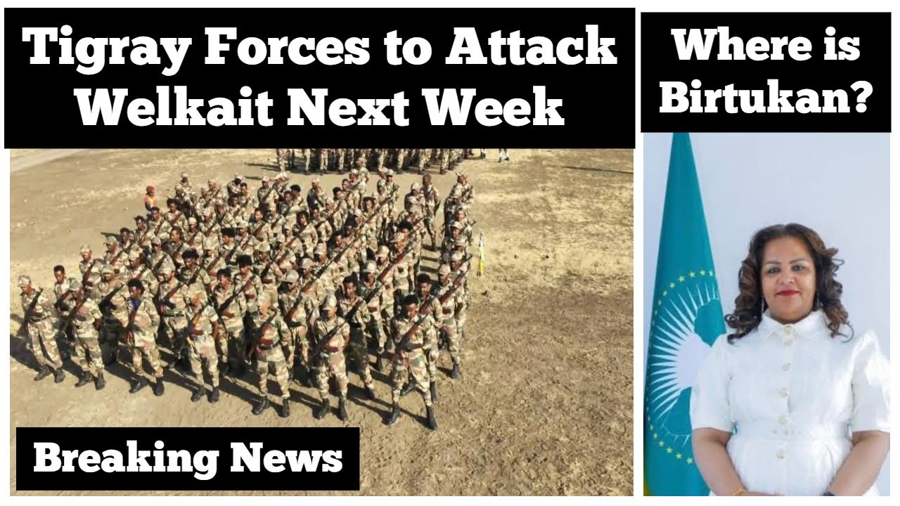 Breaking News Ethiopia: Tigray Forces to Attack Welkait Next Week
