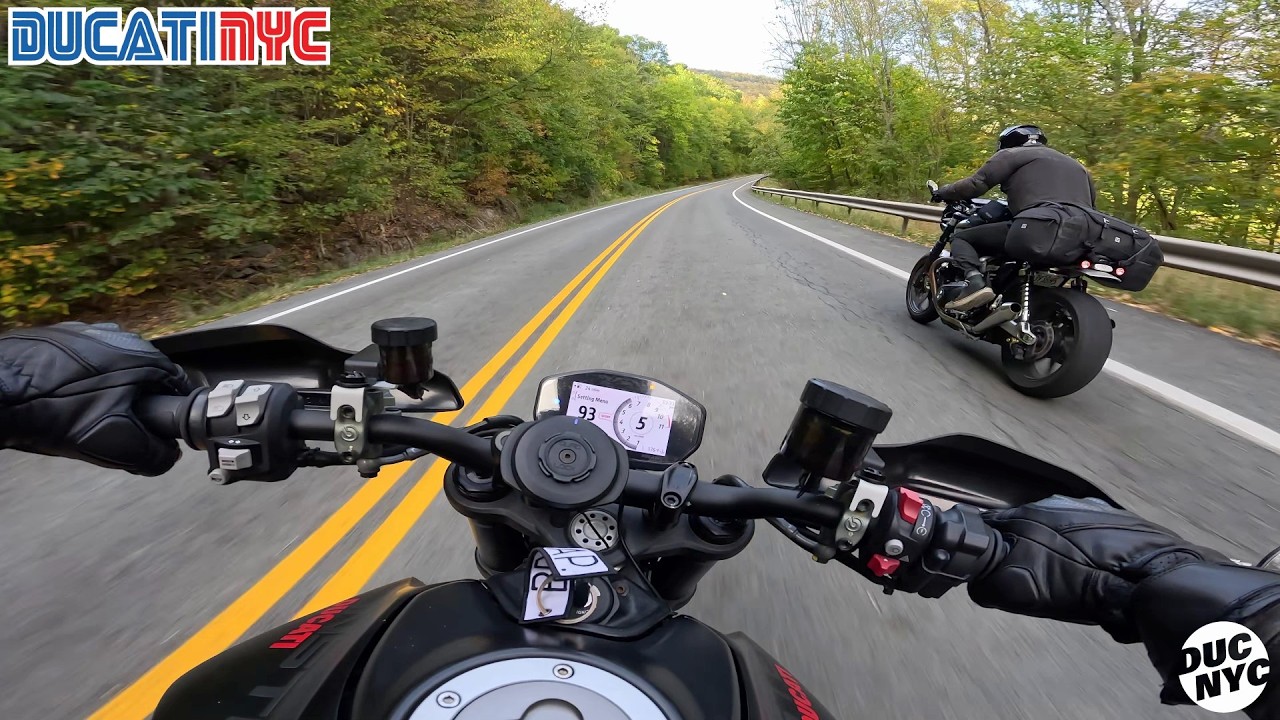 Ducati vs Triumph - Monster vs Speed Twin - Rapid Rip with @MotoNoir