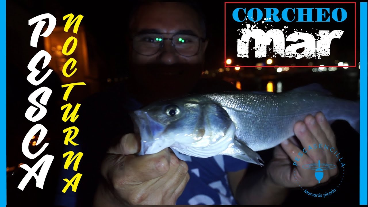 Corcheo mar: noche de corcheo mar.