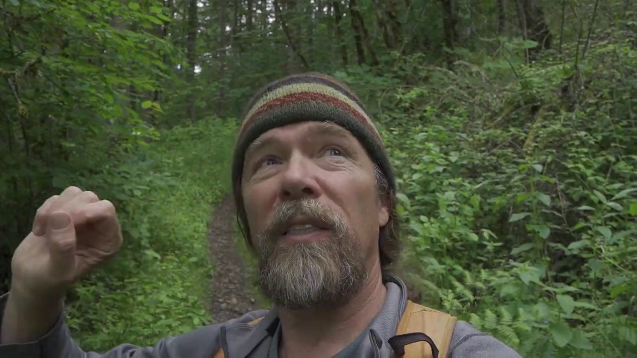A Quiet Loop Trail in Portland's Forest Park