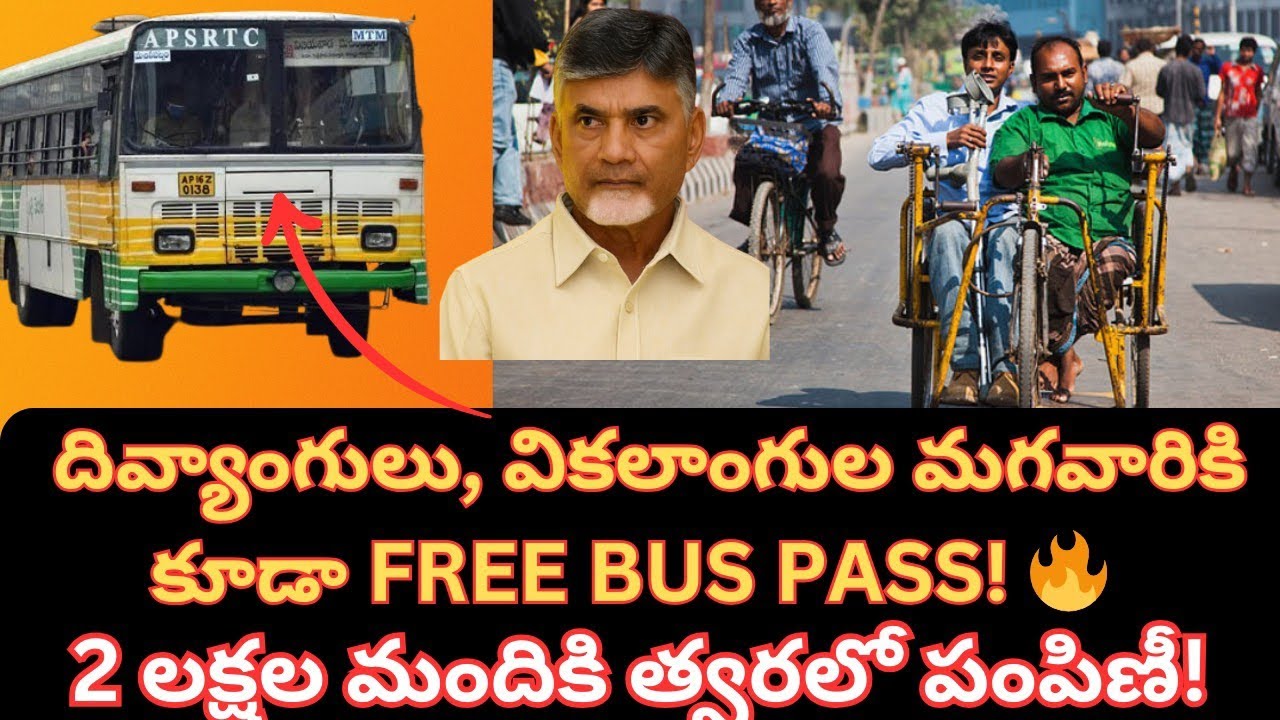 AP FREE BUS Scheme for Disabled Men |New Update |2 Lakh Passes Soon!#disability#freebusscheme#apgovt