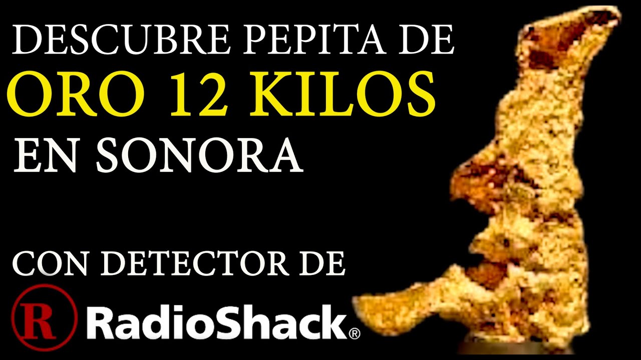 CONOCE LA PEPITA DE ORO DE 12 KILOS DESCUBIERTA EN SONORA A SOLO 15 CENTIMETROS DE LA TIERRA.