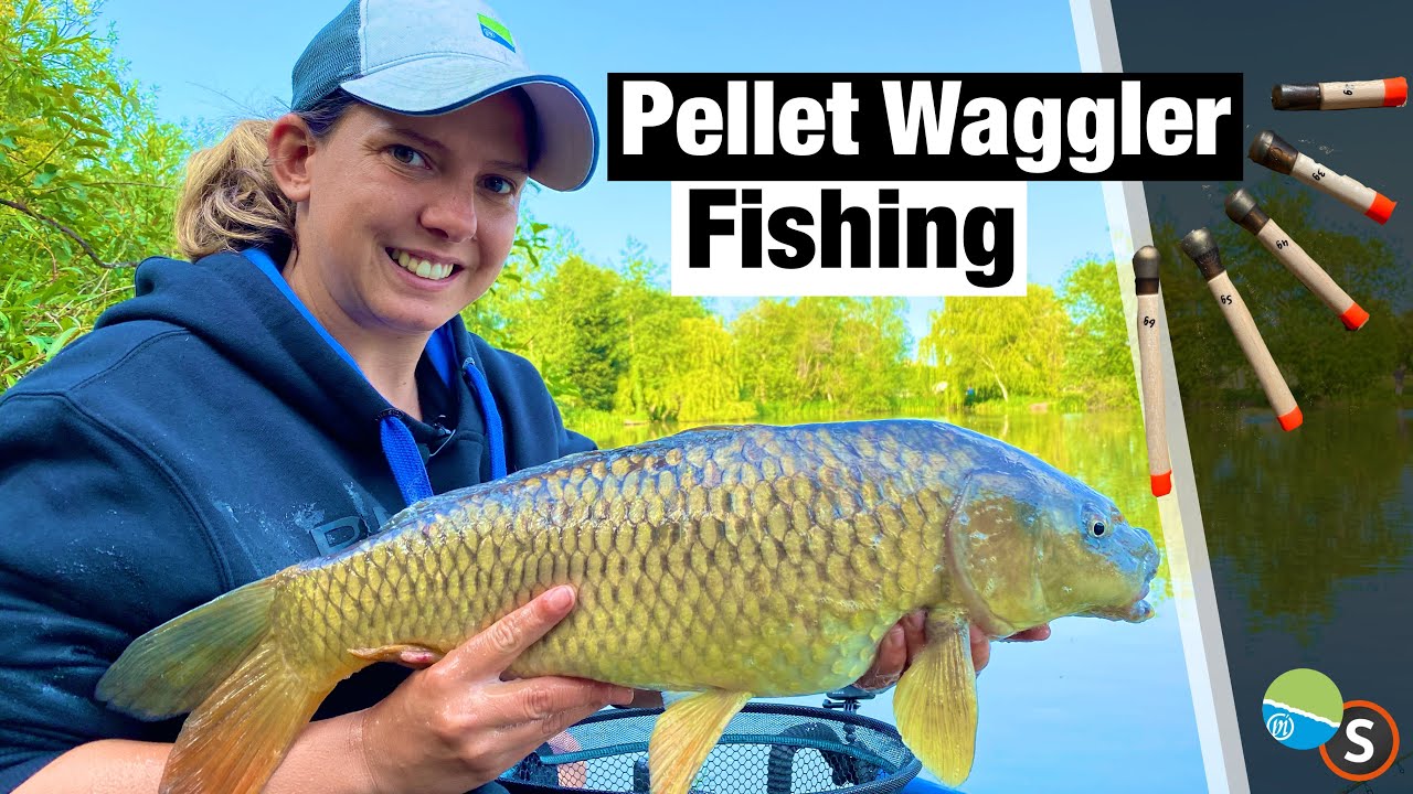 Pellet Waggler Fishing For Carp In Summer