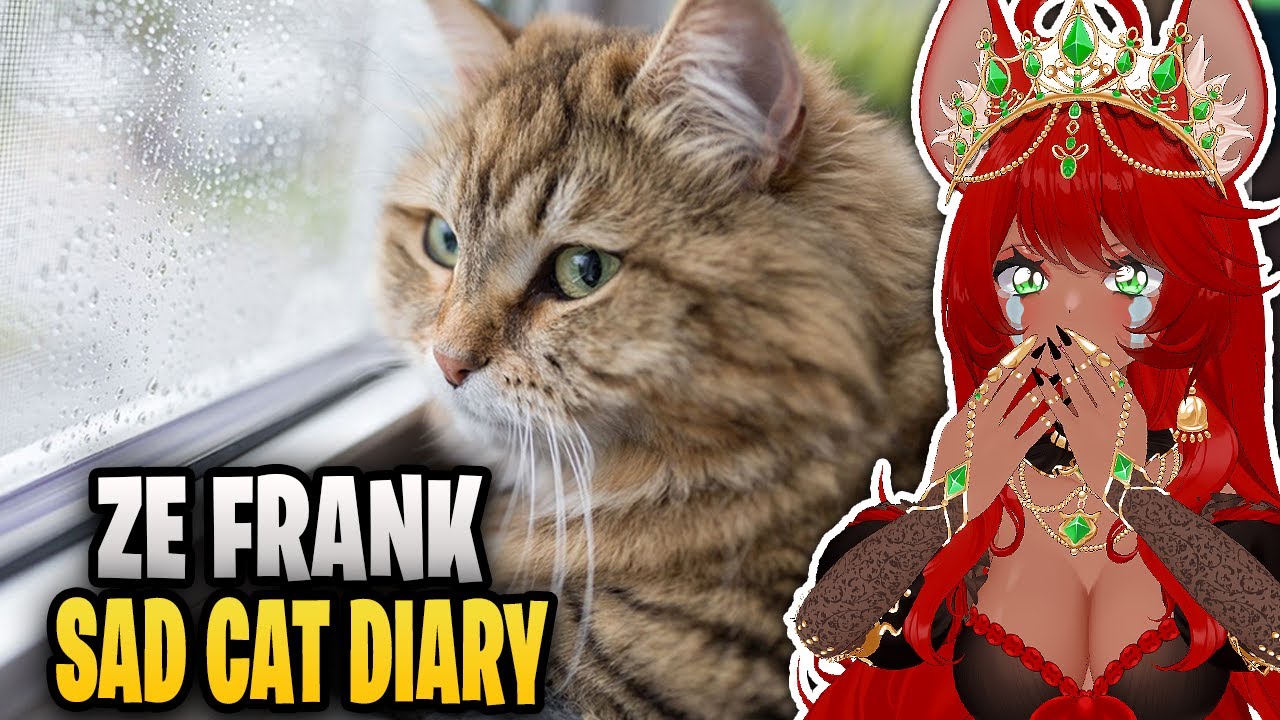 THE POOR KITTY !! | Sad Cat Diary Reaction