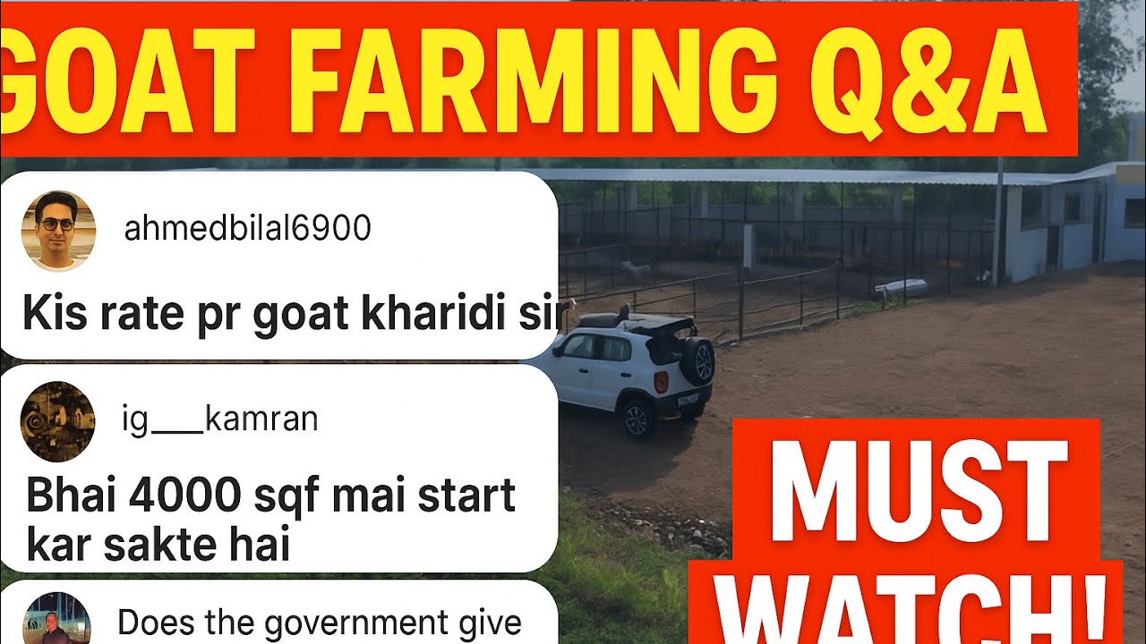 “Goat Farming Ki Kamai, Subsidy, Setup & Best Breed – Sab Kuch Honest Q&A!”