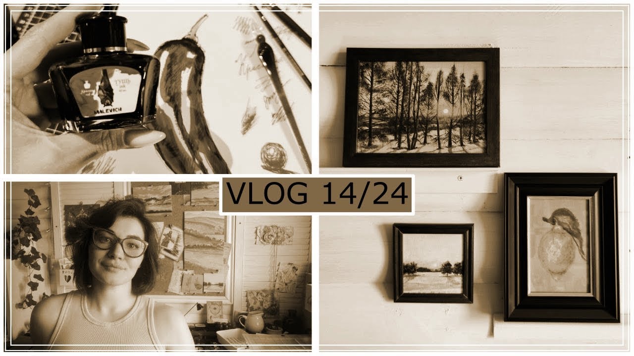 VLOG 14/24 много всего