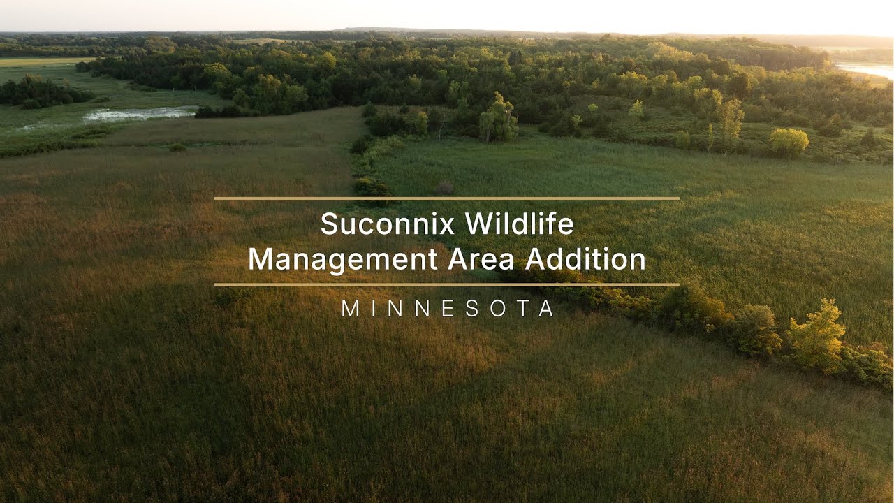 Habitat & Access: Minnesota’s Suconnix Wildlife Management Area Addition