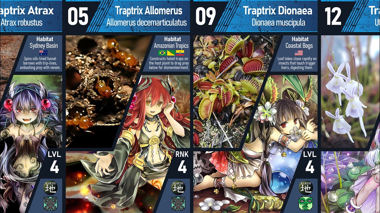 All Traptrix Natural Origins | Yugioh TCG/OCG