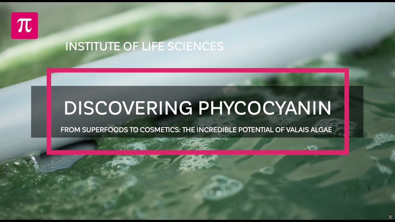 Discovering phycocyanin : from superfoods to cosmetics: the incredible potential of Valais algae