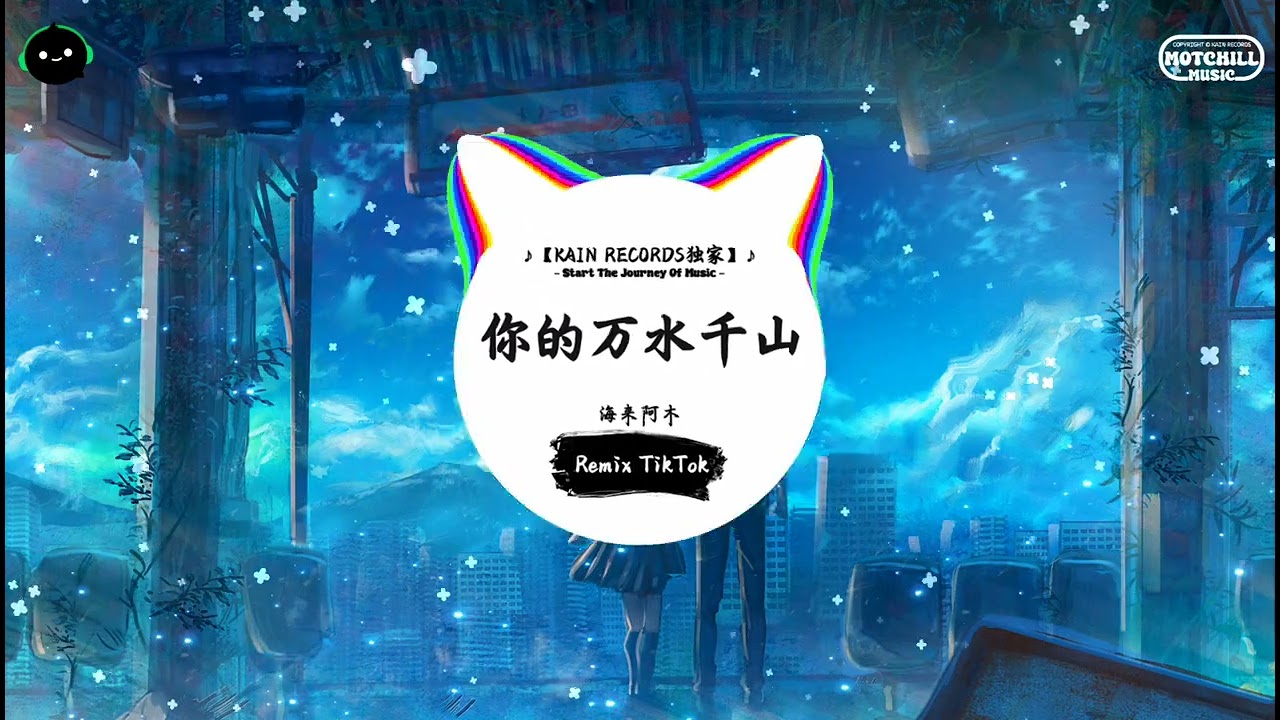 你的万水千山 (抖音DJ版) - 海来阿木『孤单的人心易碎，未曾放下的人怕回忆。』♪ || 抖音精选热播BGM | 纯音乐 | 抖音 | TikTok ♪
