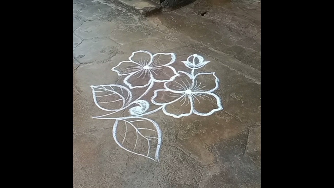Прекрасные цветы 🌺🌺🌺