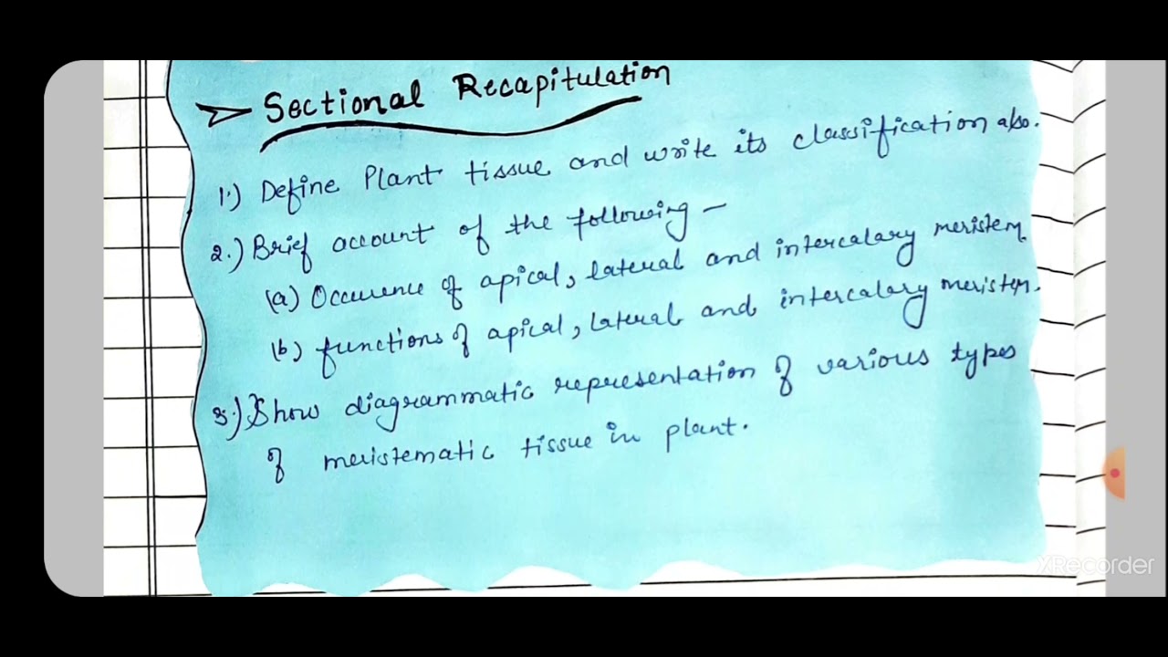 Biology lesson plan on Plant Tissue | Science lesson | B.Ed. file