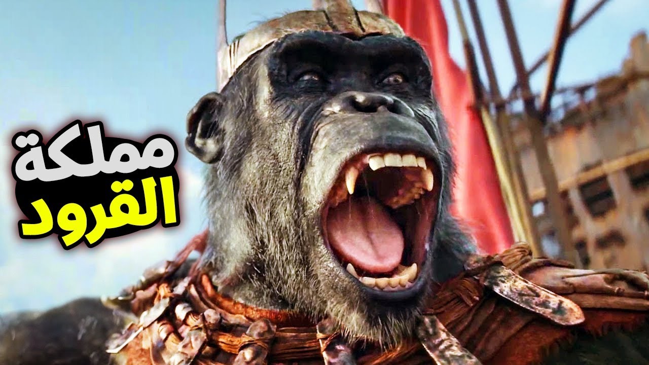 حرب بين القرود 🆚و اخر بنت بشريه 💪عايشه (ملخص فيلمKingdom of the Planet  2024 of the Apes)