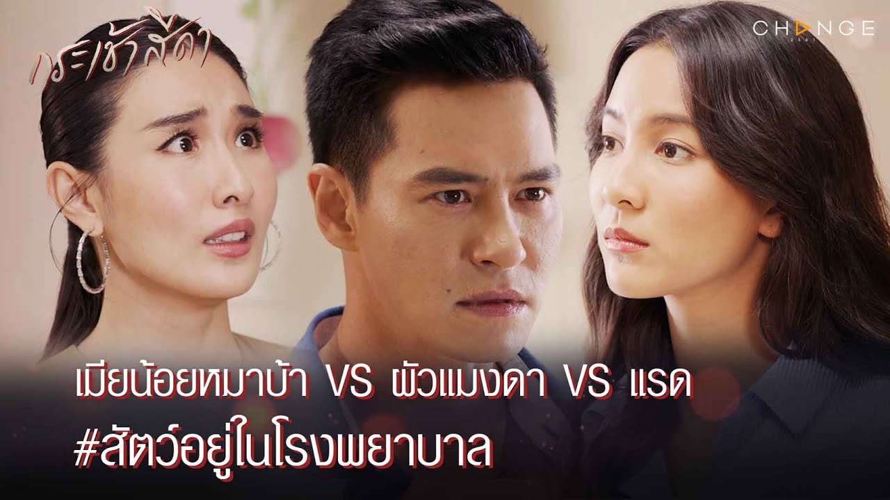 กระเช้าสีดา - เมียน้อยหมาบ้า VS ผัวแมงดา VS แรด โรงพยาบาลกลายเป็นสวนสัตว์เฉย [Highlight]