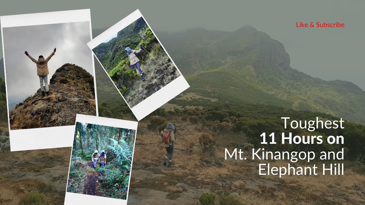 Toughest Hiking Trail In Kenya | MT KINANGOP-ELEPHANT HILL TRAVERSE