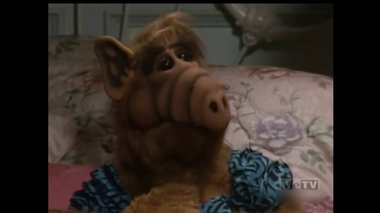 ALF - Alf & The Theif (Season 1 Ep. 2)