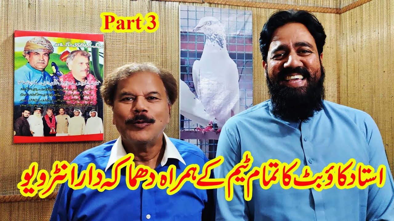 Interview of Ustad Shujah cow Butt||best tips for birds pigeons kabootar (03004515078) part 3
