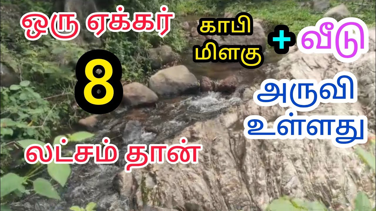 ஒரு ஏக்கர் 8 லட்சம் தான் அருவி உள்ளது #chandruproperties